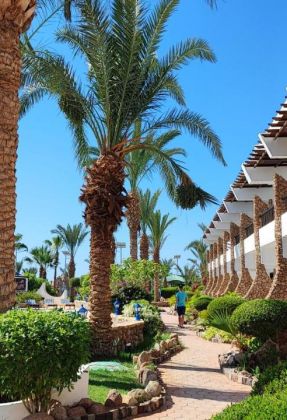 TURQUOISE BEACH HOTEL