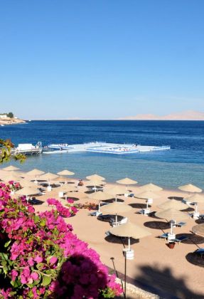 DOMINA CORAL BAY HAREM