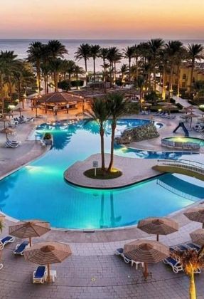 Palm Beach Resort Standard