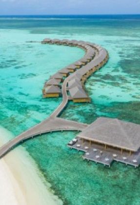 COCOON MALDIVES